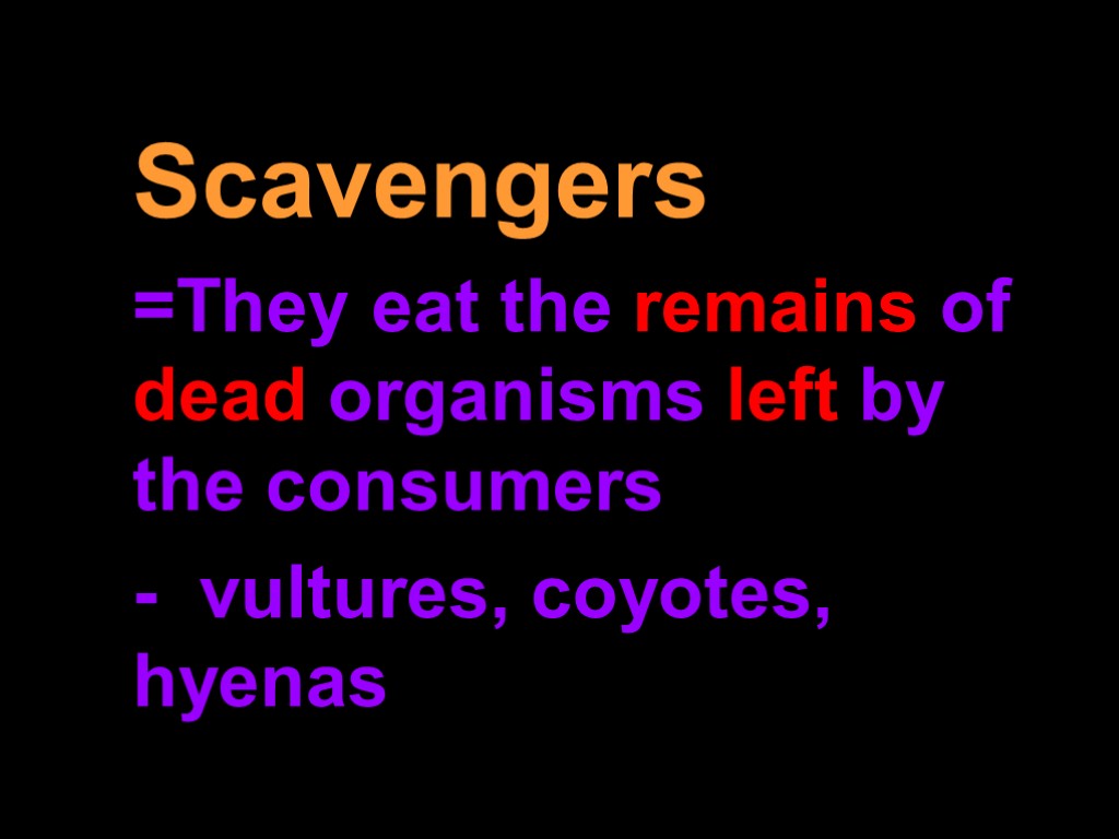Scavengers =They eat the remains of dead organisms left by the consumers - vultures,